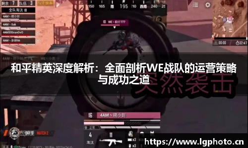 MK体育
